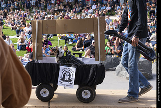 Tour de Corgi 2025 - Costume Contest