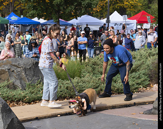 Tour de Corgi 2025 - Costume Contest