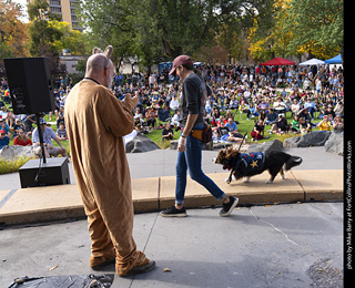 Tour de Corgi 2025 - Costume Contest