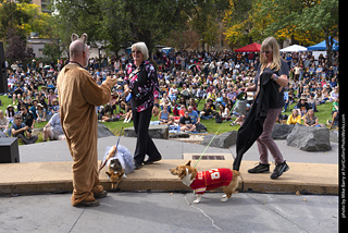 Tour de Corgi 2025 - Costume Contest