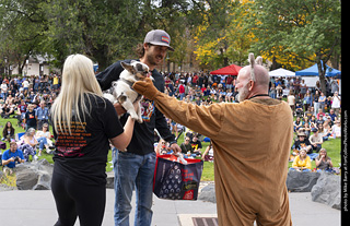 Tour de Corgi 2025 - Costume Contest