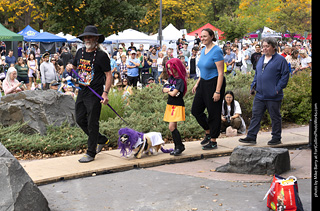Tour de Corgi 2025 - Costume Contest