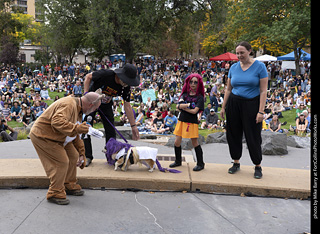 Tour de Corgi 2025 - Costume Contest