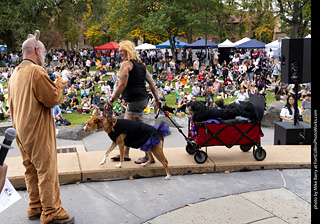 Tour de Corgi 2025 - Costume Contest