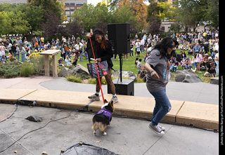 Tour de Corgi 2025 - Costume Contest