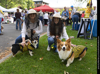Tour de Corgi 2025 - attendees