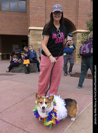 Tour de Corgi 2025 - attendees