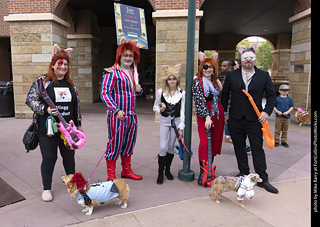 Tour de Corgi 2025 - attendees