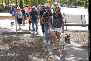 Tour de Corgi 2025 - attendees