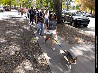 Tour de Corgi 2025 - attendees