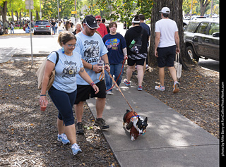 Tour de Corgi 2025 - attendees
