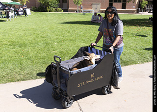 Tour de Corgi 2025 - attendees