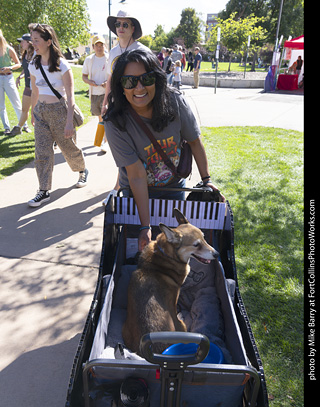 Tour de Corgi 2025 - attendees