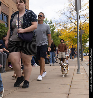  Tour de Corgi 2025 - The Tour