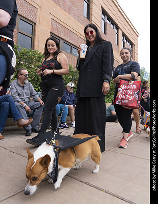  Tour de Corgi 2025 - The Tour