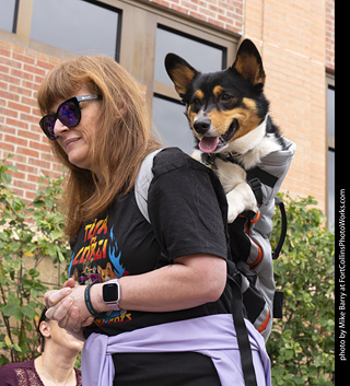  Tour de Corgi 2025 - The Tour