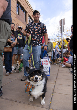  Tour de Corgi 2025 - The Tour