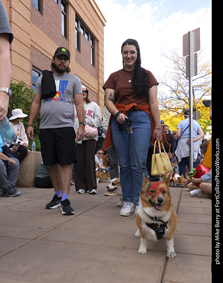 Tour de Corgi 2025 - The Tour