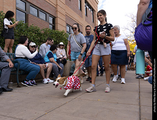 Tour de Corgi 2025 - The Tour