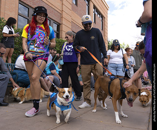  Tour de Corgi 2025 - The Tour