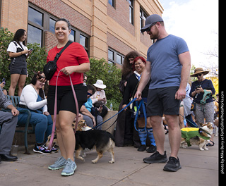  Tour de Corgi 2025 - The Tour