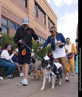 Tour de Corgi 2025 - The Tour