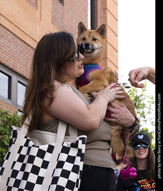 Tour de Corgi 2025 - The Tour