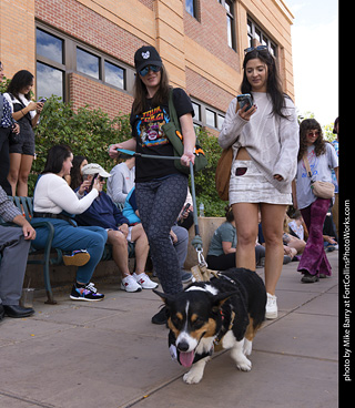  Tour de Corgi 2025 - The Tour