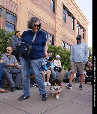  Tour de Corgi 2025 - The Tour