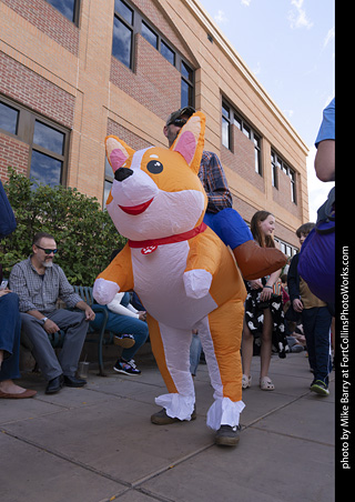  Tour de Corgi 2025 - The Tour