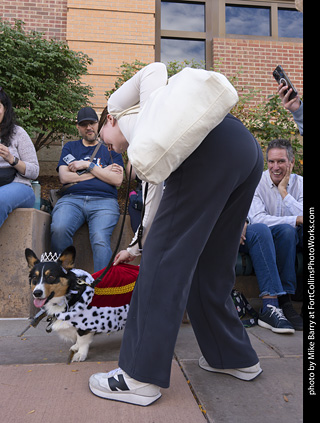  Tour de Corgi 2025 - The Tour