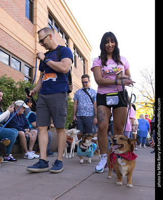  Tour de Corgi 2025 - The Tour