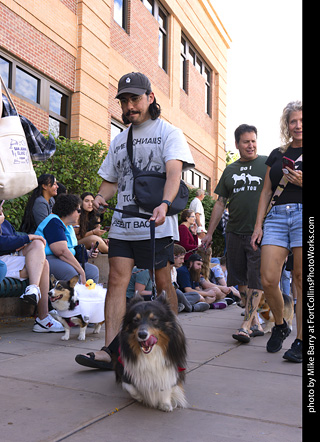  Tour de Corgi 2025 - The Tour