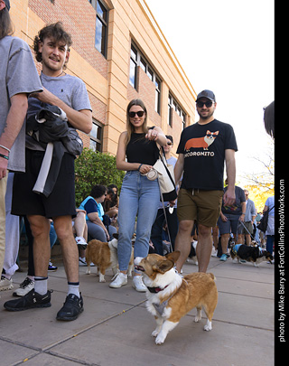  Tour de Corgi 2025 - The Tour
