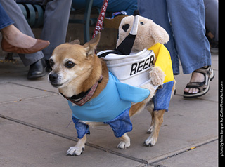  Tour de Corgi 2025 - The Tour