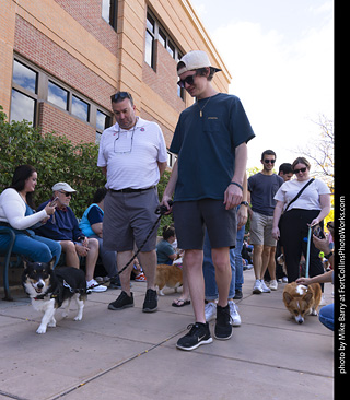  Tour de Corgi 2025 - The Tour
