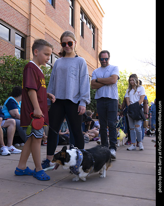 Tour de Corgi 2025 - The Tour