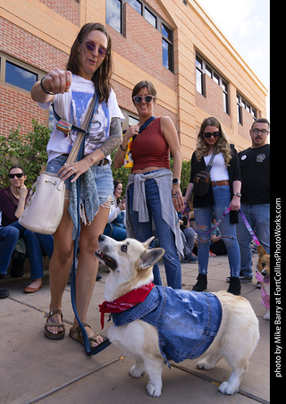  Tour de Corgi 2025 - The Tour