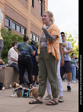  Tour de Corgi 2025 - The Tour