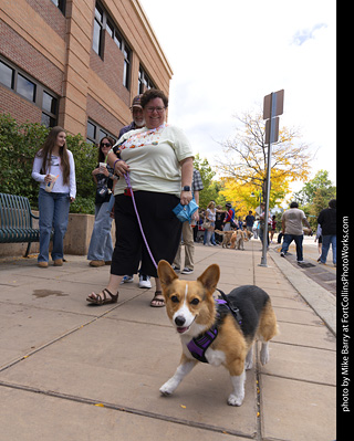  Tour de Corgi 2025 - The Tour