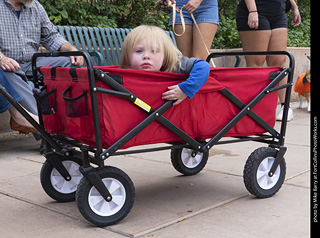  Tour de Corgi 2025 - The Tour