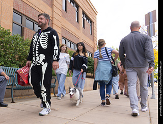  Tour de Corgi 2025 - The Tour