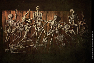 Creepy Walk in the Woods 2025