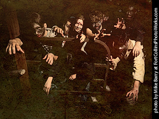 Creepy Walk in the Woods #2