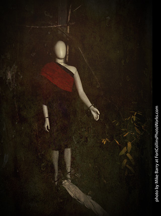 Creepy Walk in the Woods 2025