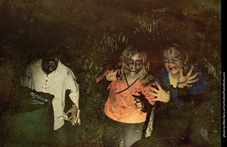 Creepy Walk in the Woods 2025