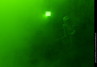 Creepy Walk in the Woods 2025