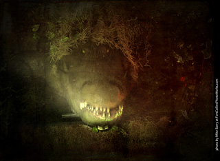 Creepy Walk in the Woods 2025