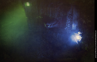 Creepy Walk in the Woods 2025