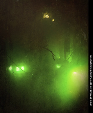 Creepy Walk in the Woods 2025